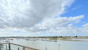 The Colne- click for photo gallery